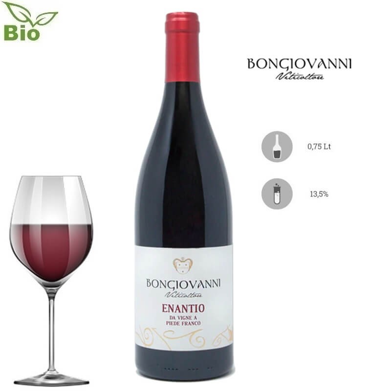 Enantio a Piede Franco Vallagarina IGT 2018 Bongiovanni