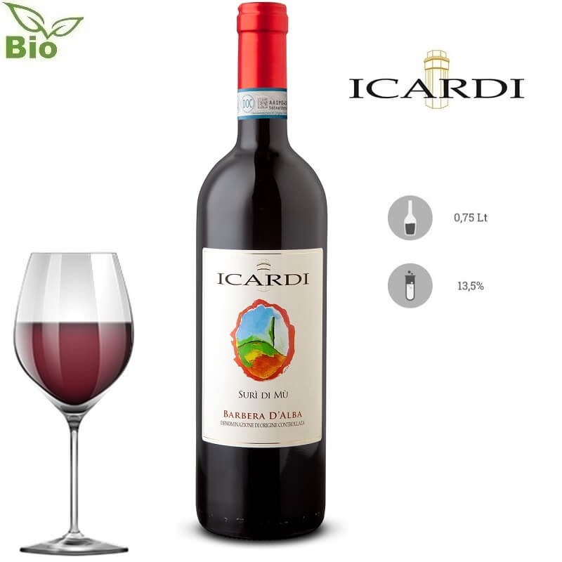 Icardi Barbera d'Alba DOC 'Surì di Mù' 2023