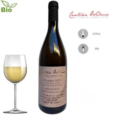 VINO BIANCO PECORINO CANTINA WILMA
