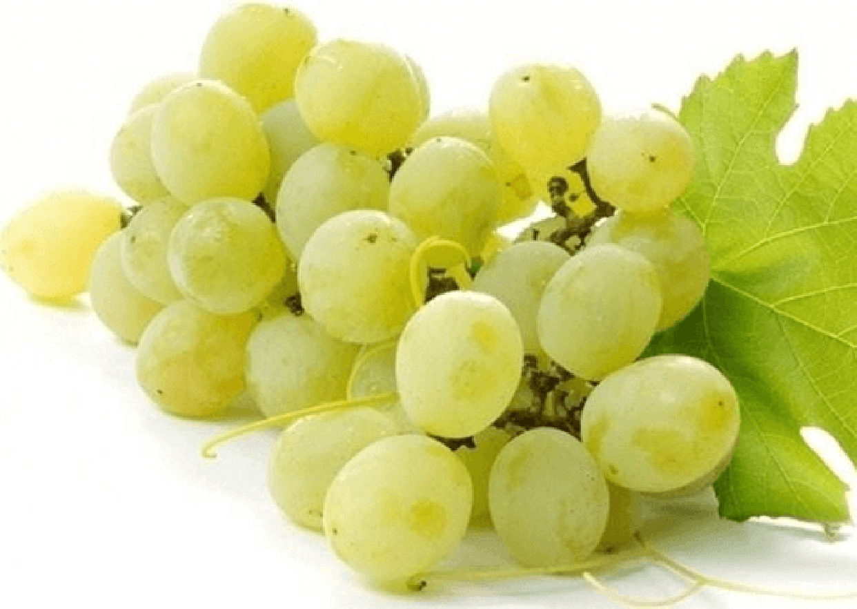 Verduzzo